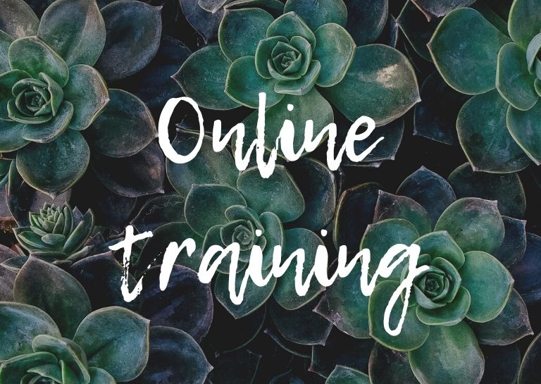 Online training Online training